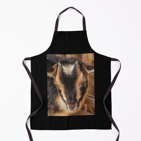 Item preview, Black goat -  pygmy goat designed and sold by animal-animal.