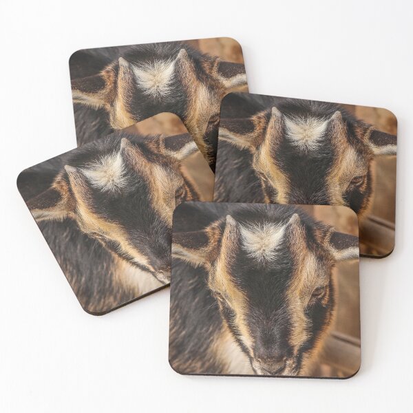 Item preview, Black goat -  pygmy goat designed and sold by animal-animal.