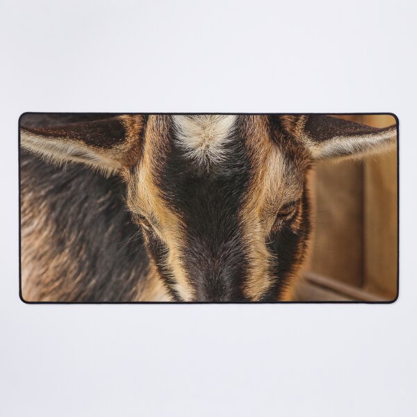 Item preview, Black goat -  pygmy goat designed and sold by animal-animal.