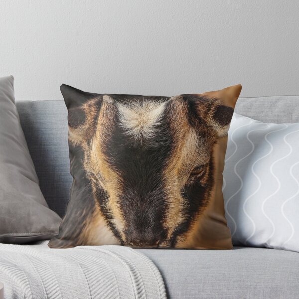 Item preview, Black goat -  pygmy goat designed and sold by animal-animal.