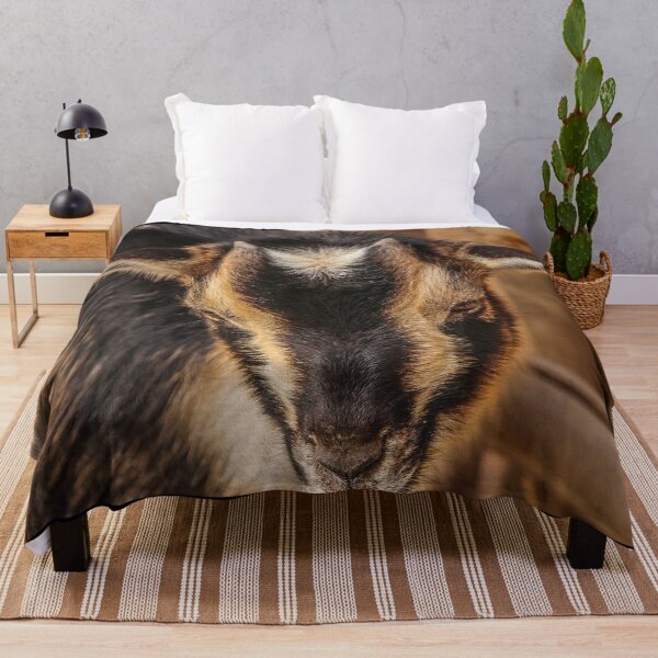 Item preview, Black goat - pygmy goat designed and sold by animal-animal.