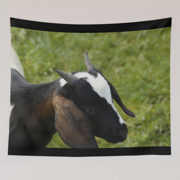 Item preview, Goat farmer -  pygmy goat designed and sold by animal-animal.