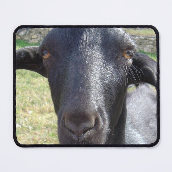 Item preview, Black goat - funny goat designed and sold by animal-animal.