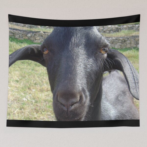 Item preview, Black goat -  funny goat designed and sold by animal-animal.