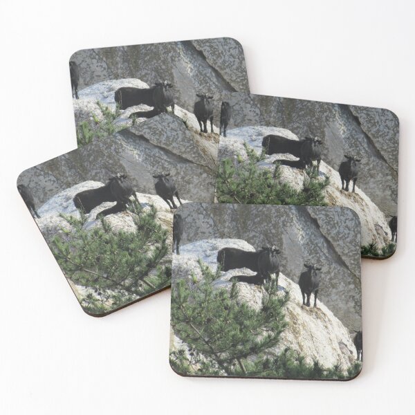 Item preview, Black goat -  mountain goat designed and sold by animal-animal.