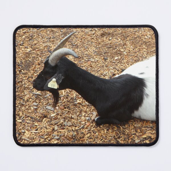 Item preview, Farm goat designed and sold by animal-animal.