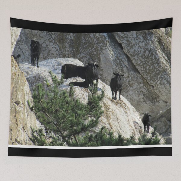 Item preview, Black goat -  mountain goat designed and sold by animal-animal.