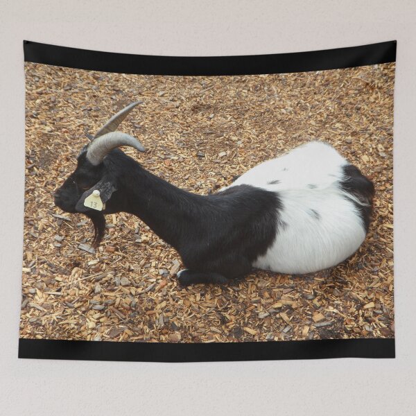 Item preview, Farm goat designed and sold by animal-animal.