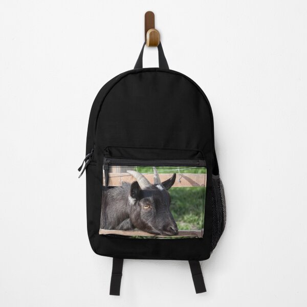 Item preview, Black goat - farm goat designed and sold by animal-animal.
