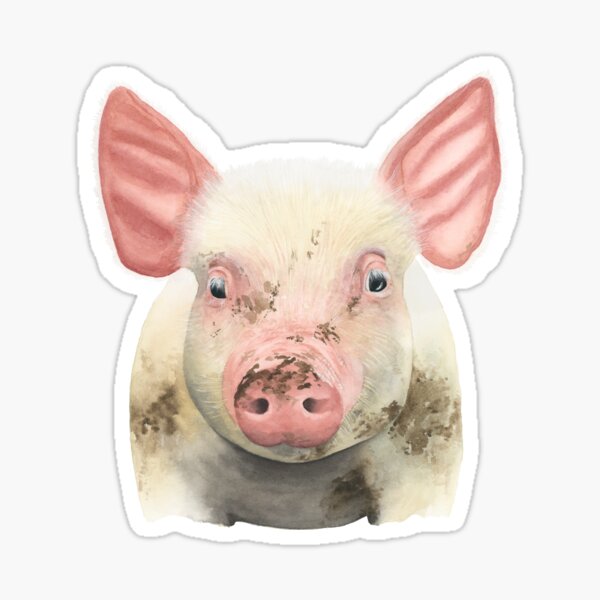 Artikel-Vorschau von Schweineportrait – Friends not Food Aquarell, designt und verkauft von Laura Hartleif.