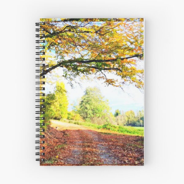 Item preview, A walk in autumn splendour designed and sold by angel1.