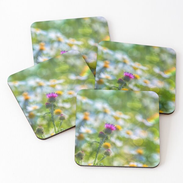 Item preview, In the summer designed and sold by Veikko  Suikkanen.