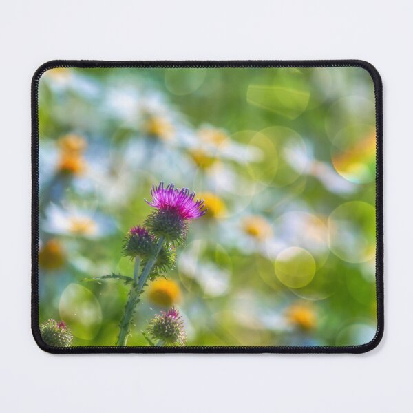 Item preview, In the summer designed and sold by Veikko  Suikkanen.