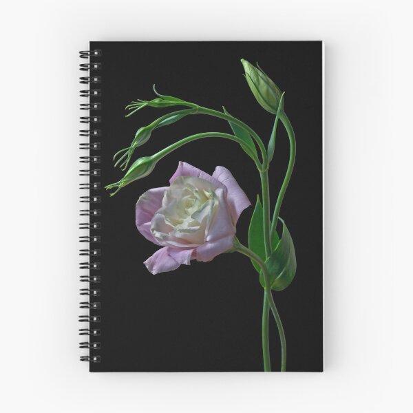 Item preview, Lisianthus designed and sold by Krys Bailey.
