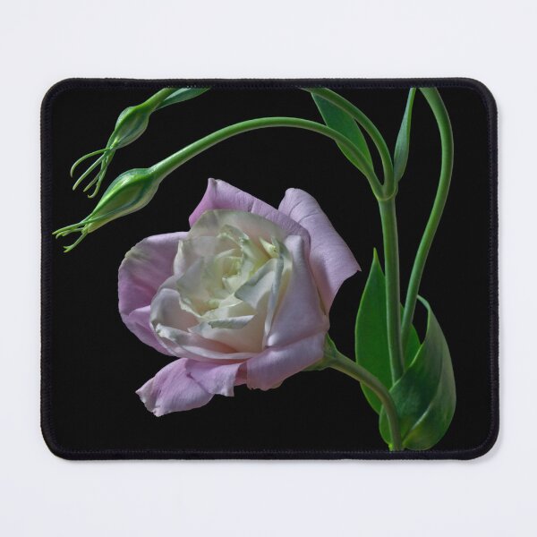 Item preview, Lisianthus designed and sold by Krys Bailey.