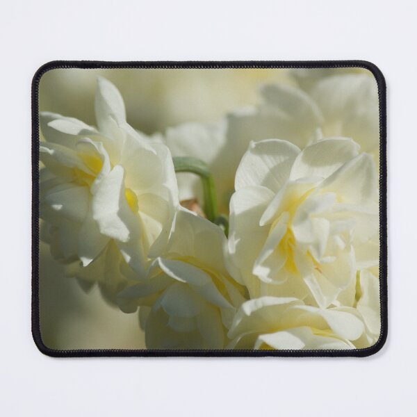 Item preview, Narcissus designed and sold by Kim Chi Thai.