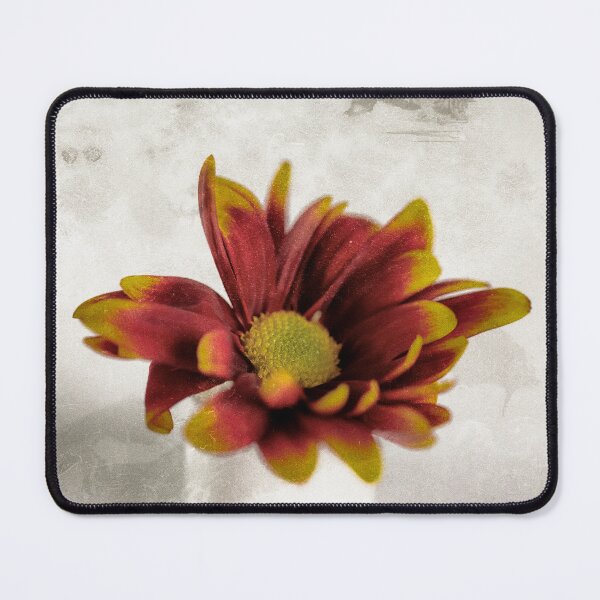 Item preview, A Chrysanthemum designed and sold by Tanya C Smith.
