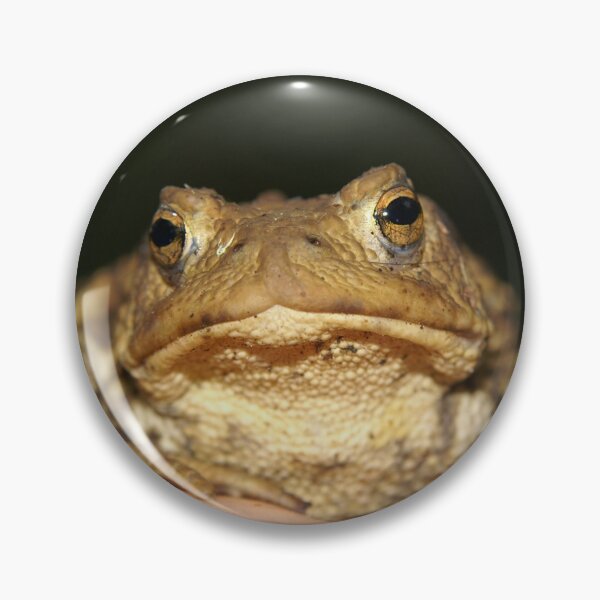 Item preview, Toad in the hand designed and sold by LorrieBee.