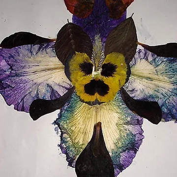 Artwork thumbnail, Abstract-Human Insect, by BasantSoni