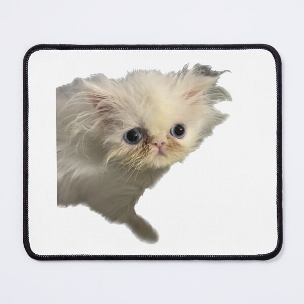 Item preview, Wisp Cat Meme designed and sold by sandza.
