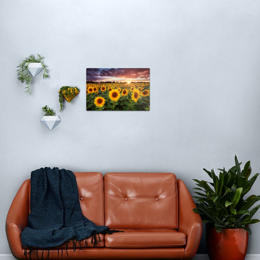 Sunshine Metal Print