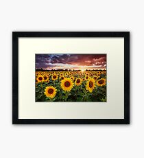 Sunshine Framed Print