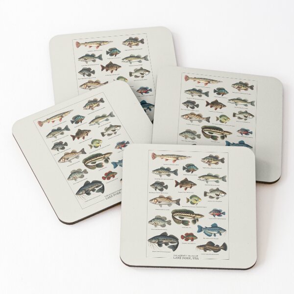 Item preview, Aquatic Fauna of Lake Fork, USA - Vintage Biology Inspired Collection - Fish Species Chart designed and sold by ShobulousStudio.
