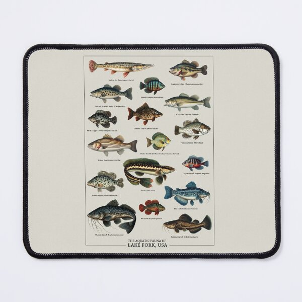Item preview, Aquatic Fauna of Lake Fork, USA - Vintage Biology Inspired Collection - Fish Species Chart designed and sold by ShobulousStudio.