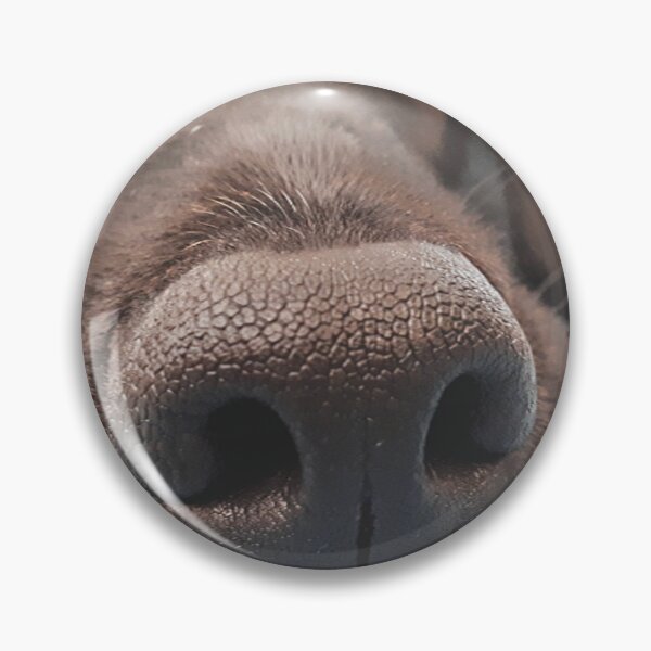 Item preview, The nose of my lovely dog designed and sold by LukaSay.