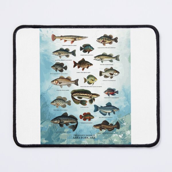 Item preview, Aquatic Fauna of Lake Fork, USA - Vintage Biology Inspired Collection - Fish Species Chart - Underwater Background designed and sold by ShobulousStudio.