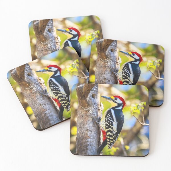 Item preview, WOODY WOOD PECKER ON TREE designed and sold by PIGCASSOSAIART.