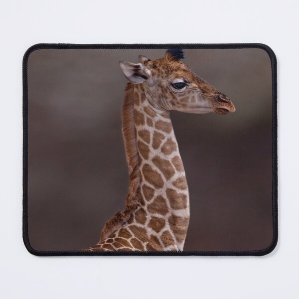 Item preview, Baby Giraffe designed and sold by Krys Bailey.