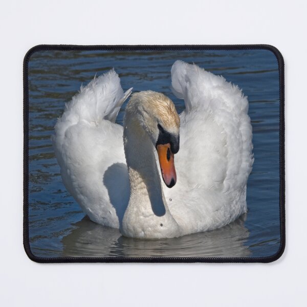 Item preview, Reflecting designed and sold by Krys Bailey.
