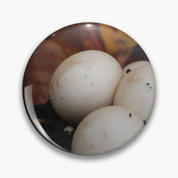 Item preview, Pear Shaped Puffballs in Autumn designed and sold by WolfNoodles.