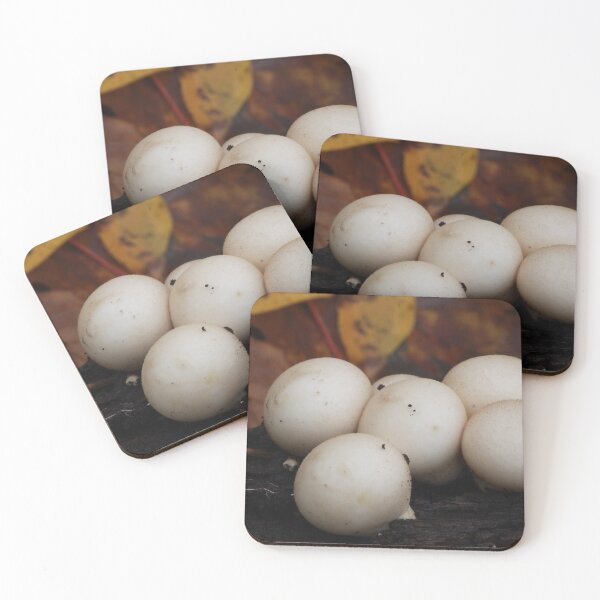 Item preview, Pear Shaped Puffballs in Autumn designed and sold by WolfNoodles.