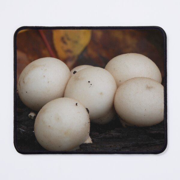 Item preview, Pear Shaped Puffballs in Autumn designed and sold by WolfNoodles.