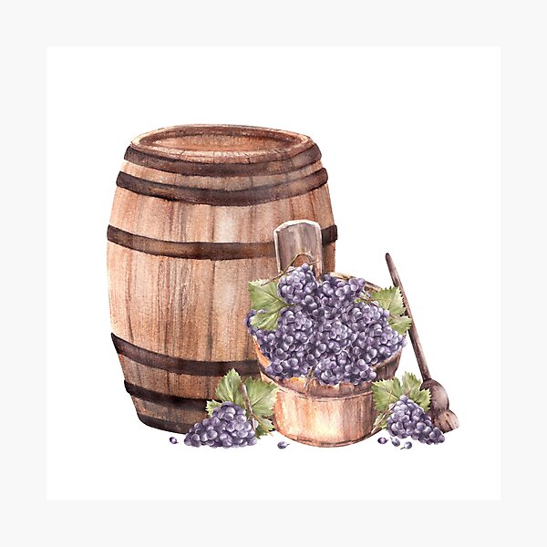 Item preview, Wine barrel with wooden basket, crusher, leaves, grapes harvest. Watercolor hand draw illustration  designed and sold by BartolArt.