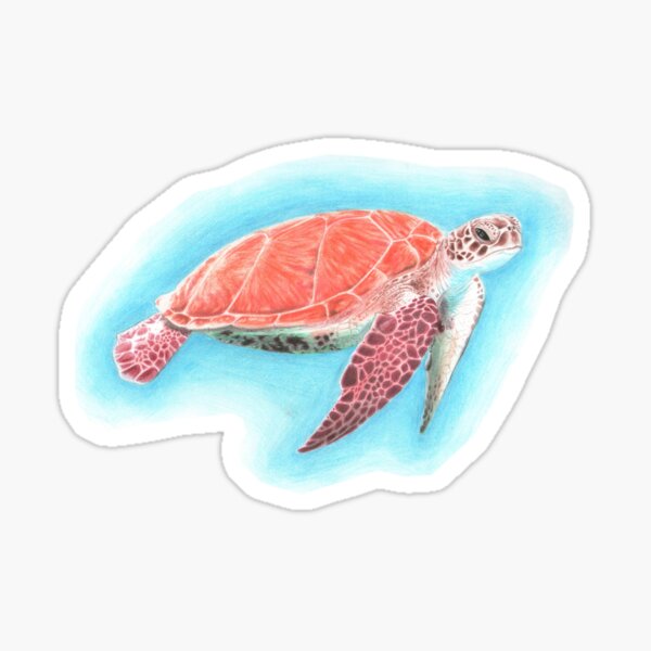 Drifting Turtle Pencil Art Sticker