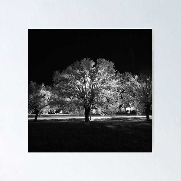 Item preview, Holly Springs, Mississippi designed and sold by wallace lester.