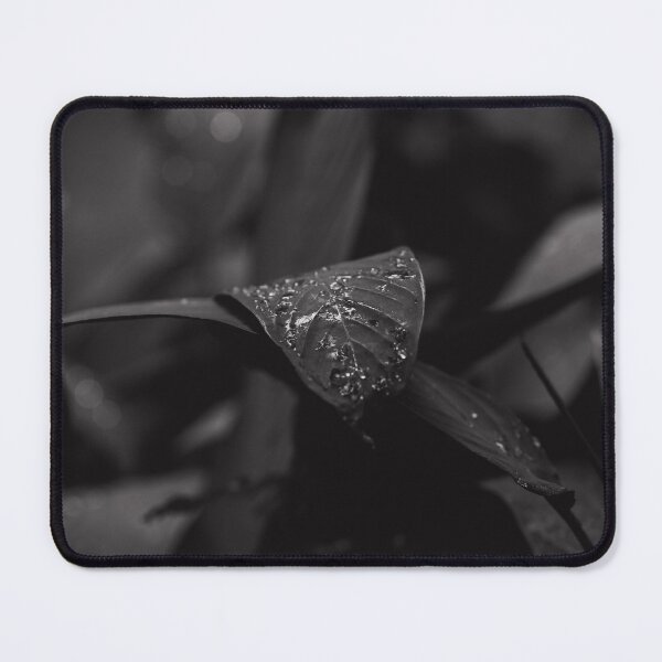 Item preview, Monochrome Wet Leaves designed and sold by Maaolena.
