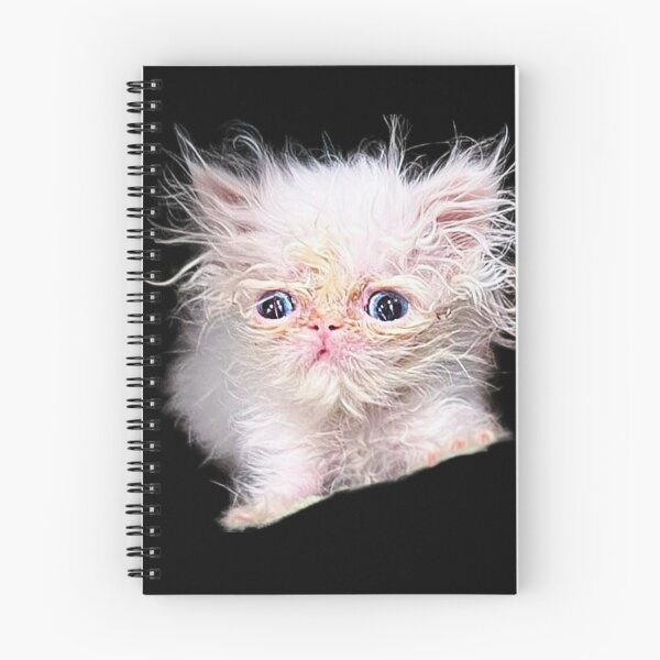 Item preview, Wisp Cat designed and sold by Reo12.