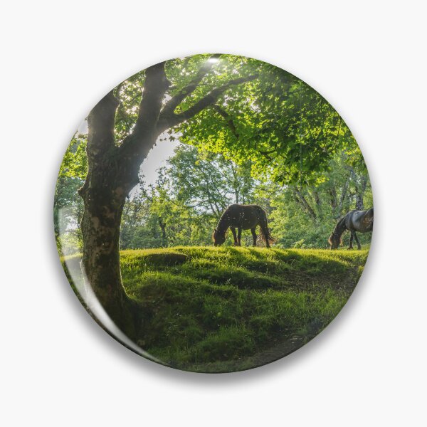 Item preview, Horses on Dartmoor, Devon designed and sold by reisefoto.