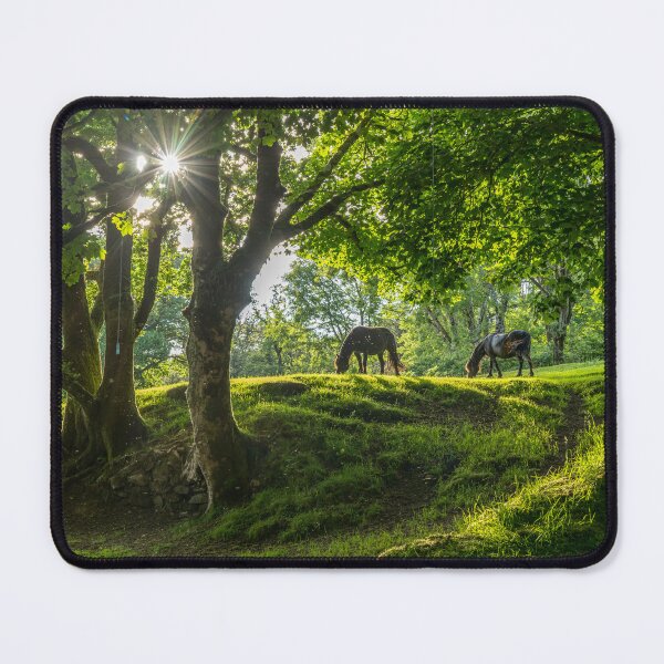 Item preview, Horses on Dartmoor, Devon designed and sold by reisefoto.