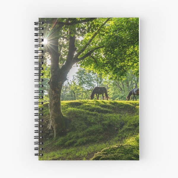 Item preview, Horses on Dartmoor, Devon designed and sold by reisefoto.