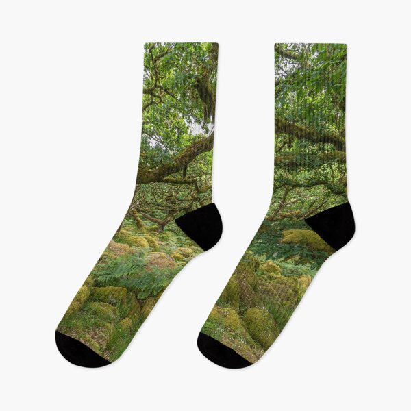 Item preview, Wistmans Wood, Dartmoor, designed and sold by reisefoto.
