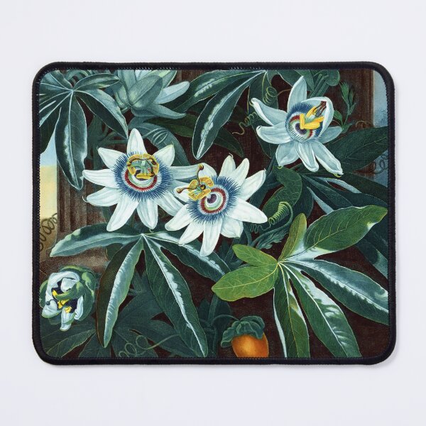 Item preview, Blue Passion Flower 1799 Robert John Thornton designed and sold by RocketshipRetro.