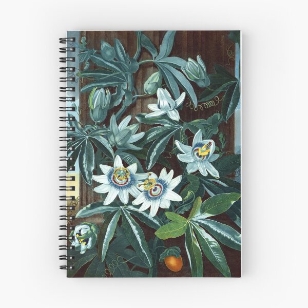 Item preview, Blue Passion Flower 1799 Robert John Thornton designed and sold by RocketshipRetro.