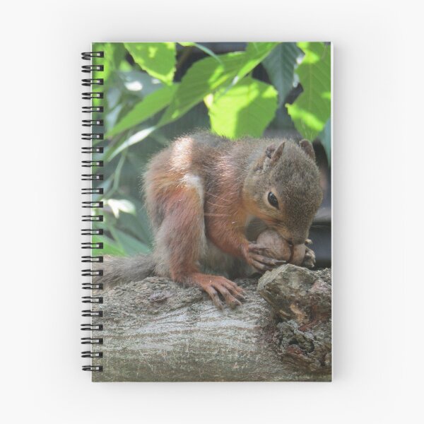Item preview, Nibbling Squirrel designed and sold by prbposh48.