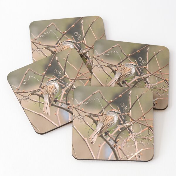 Item preview, Sparrow designed and sold by Bridget Swanson.