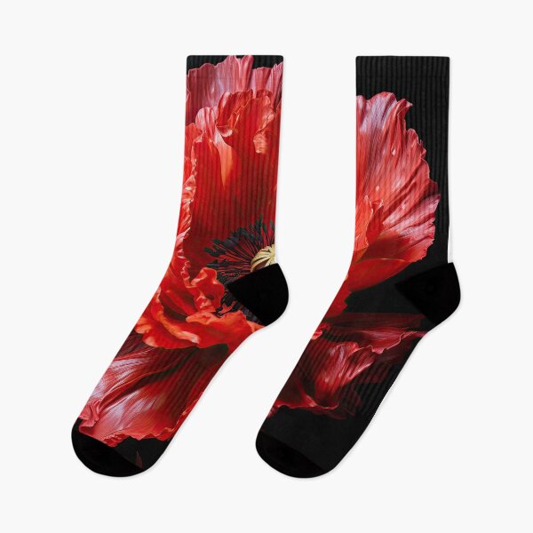 Item preview, Prosperity Poppy oil painting in Scarlet Red designed and sold by Maryanne Chisholm Art & Apparel.